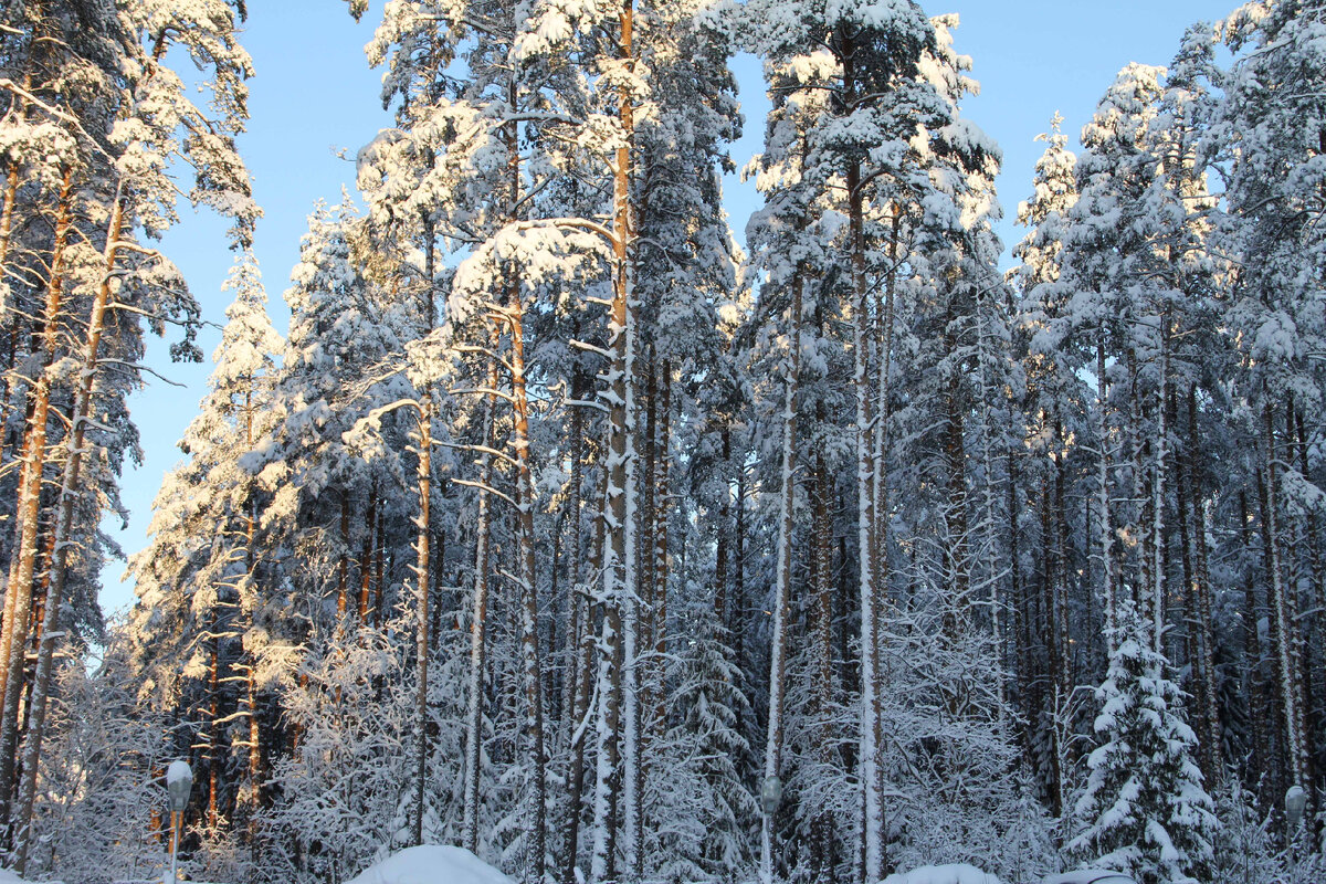 Зима в Райволе