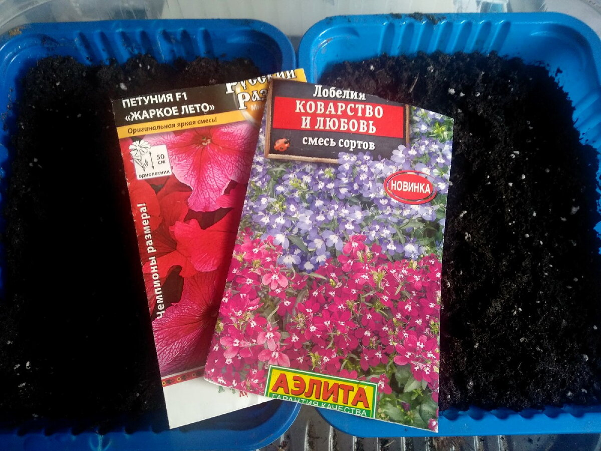 Пакетики с петунией F1 «Жаркое лето» и лобелией «Коварство и любовь»