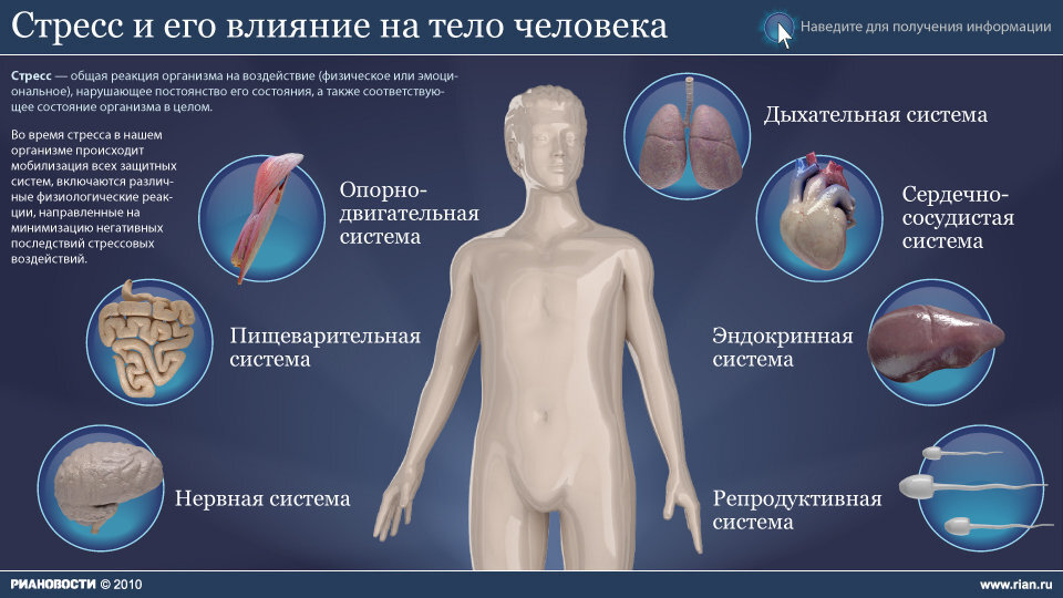 Влияние стресса на организм 