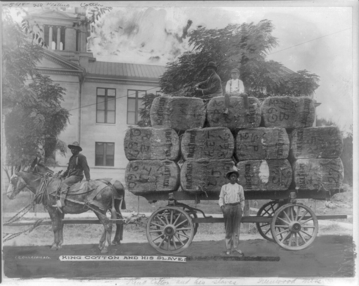 Поставка с хлопковых плантаций