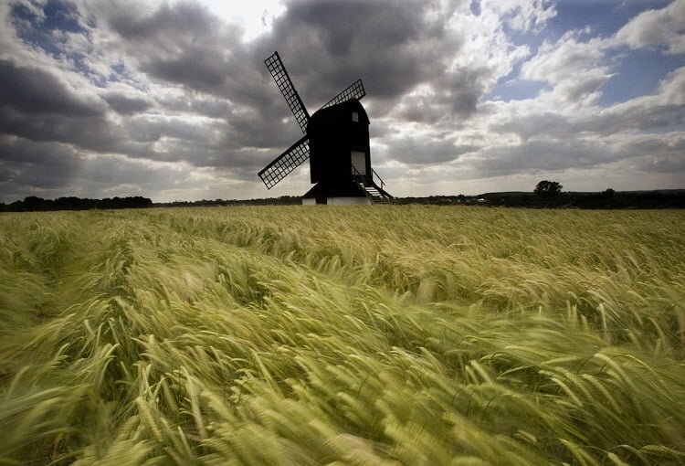 Ветер в поле, изображение.