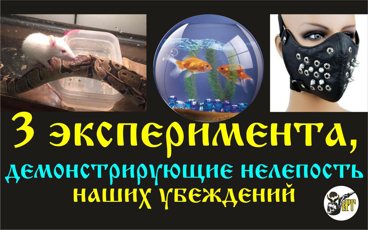 Александр Татарков