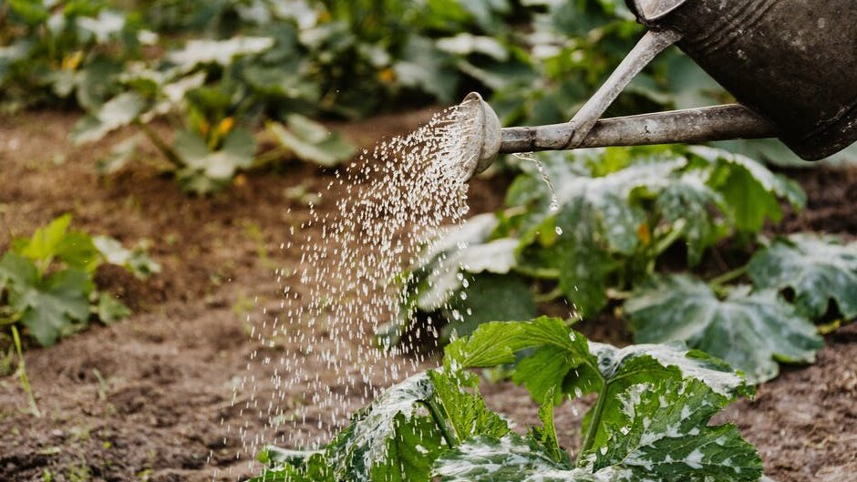 Янтарная кислота - многофункциональный препарат