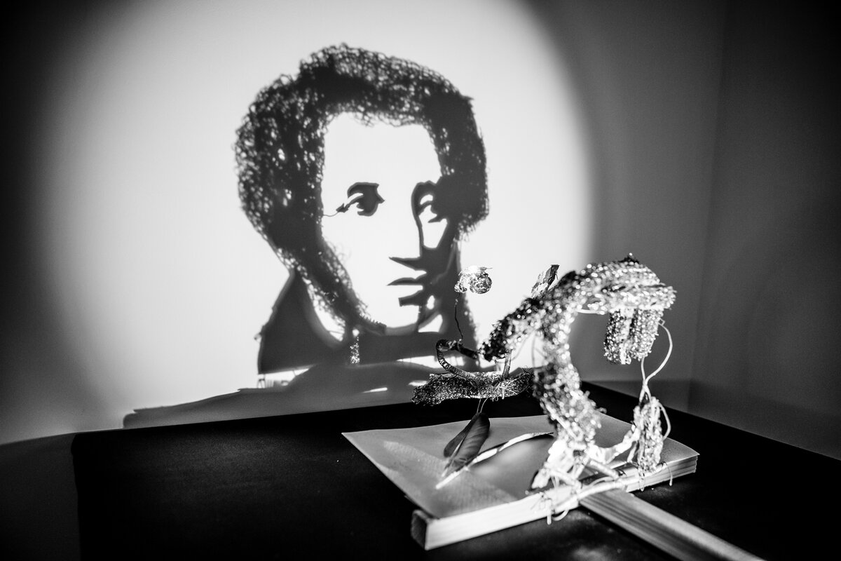 Фото с сайта https://shadowmuseum.ru/