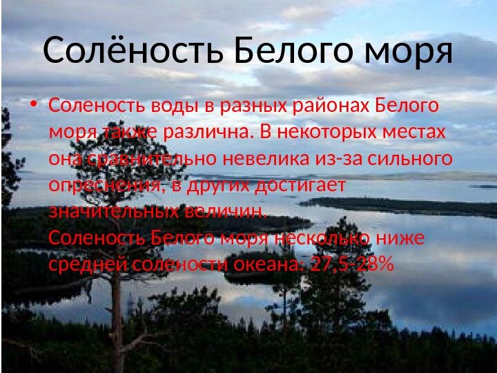 Презентация на тему белое море
