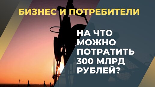 Куда потратить 300 млрд рублей?