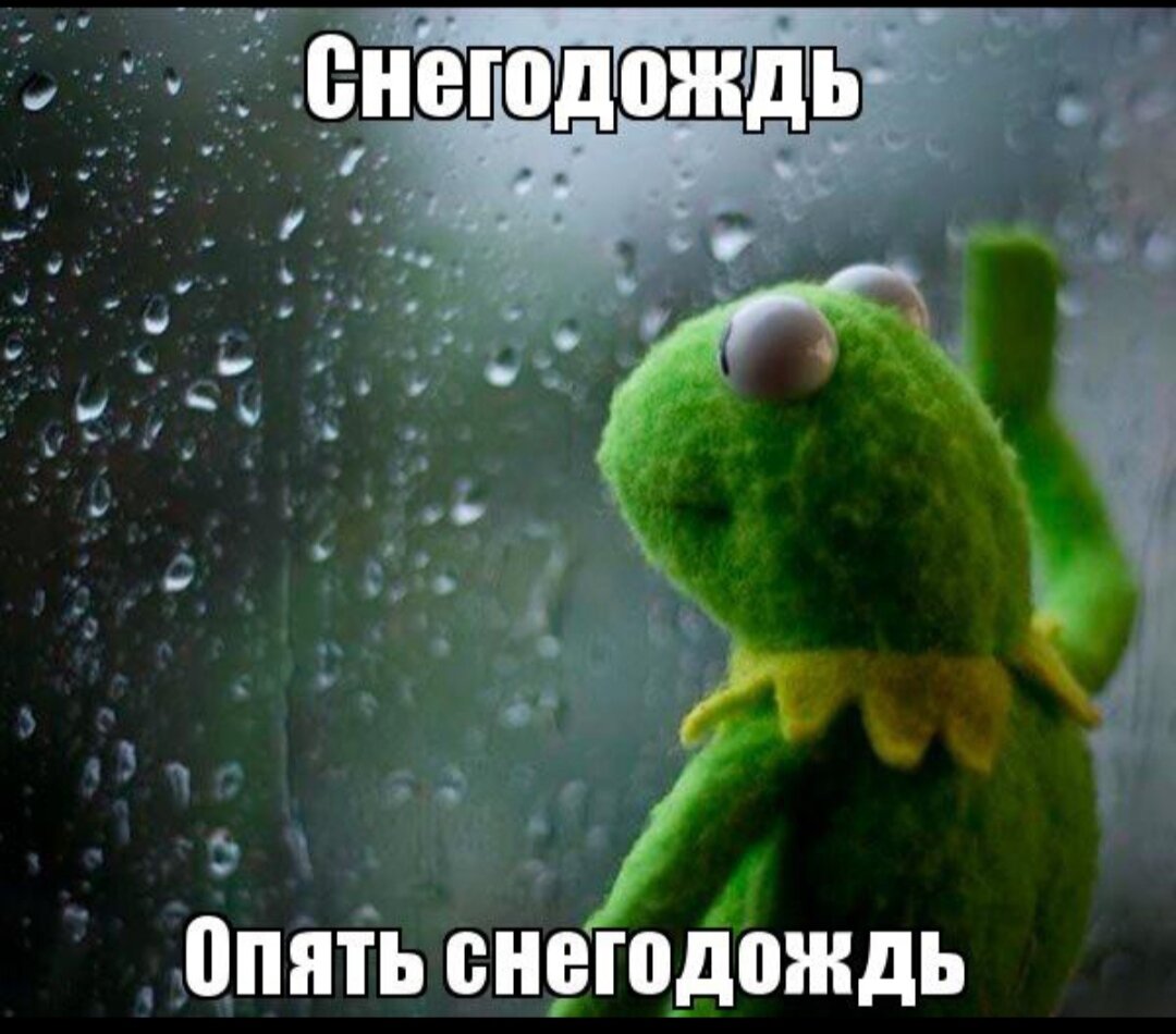 Картинка из интернета