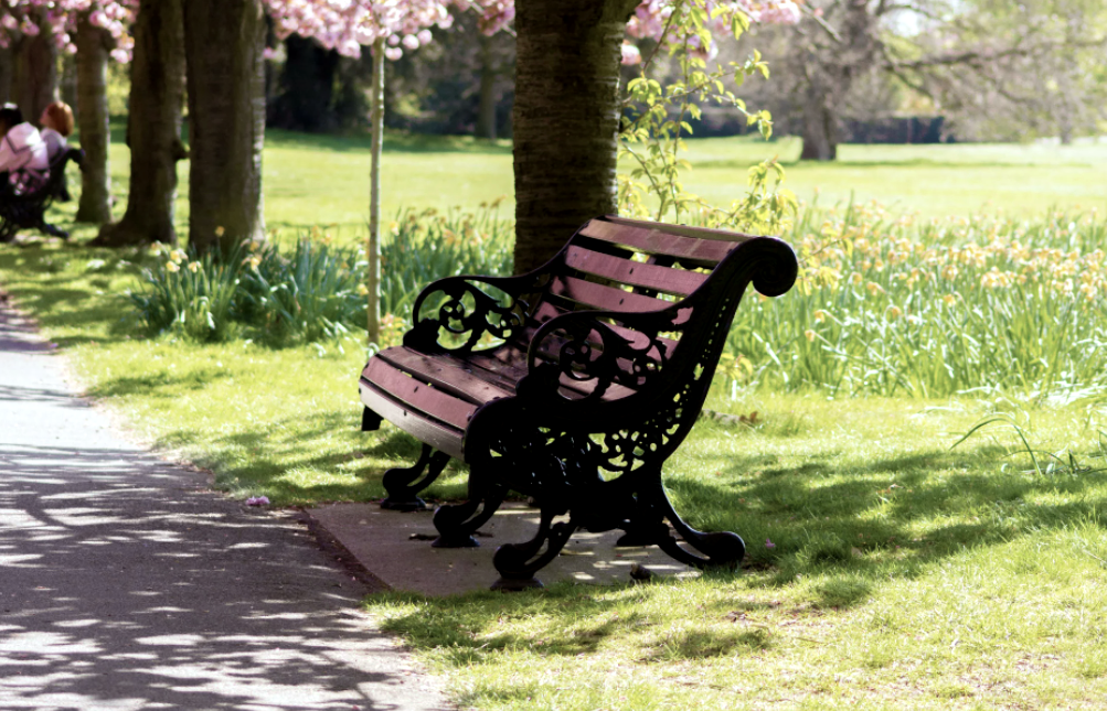 Живописное место, подошло бы идеально для посиделок. Но лучше в сумерках