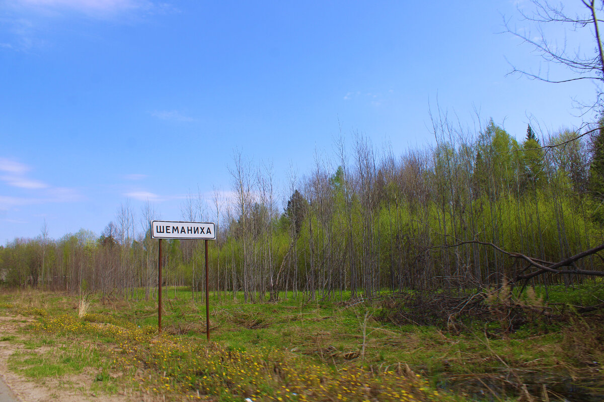 Ну вот, приехали в Шеманиху Нижегородской области, а дом моих родных  заброшен и превратился в небытие | Под зонтиком | Дзен