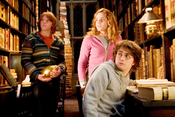 Вряд ли найдется человек, кто бы ни  разу не покупал или не скачивал книги о Гарри Поттере или не смотрел фильмы.