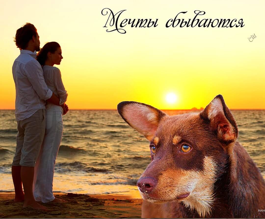 Иллюстрация-подарок от читателя С.В.Шишковского