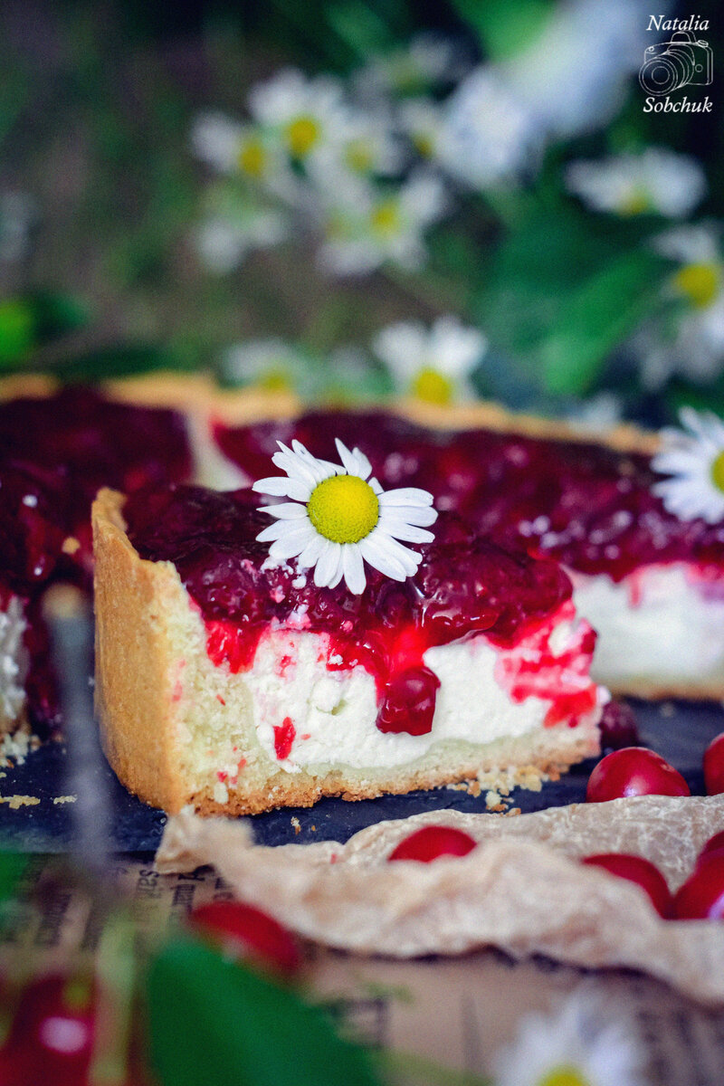 Вишнёвый чизкейк: рецепт безумно вкусного пирога с творогом и вишней | МИР ДЕСЕРТОВ NS | Дзен