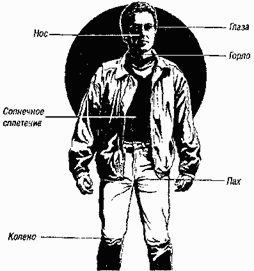 Уязвимые точки на теле человека 