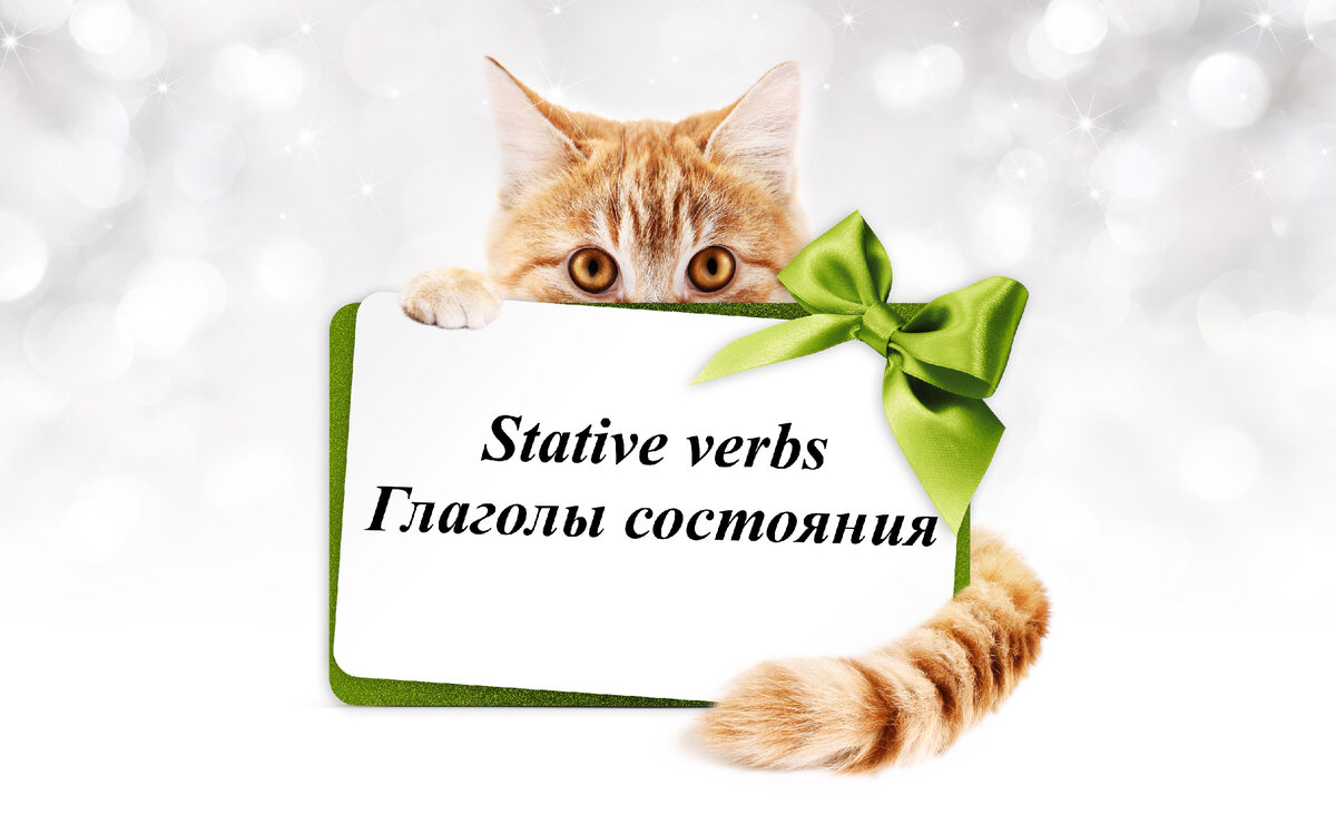Глаголы состояния или stative verbs в английском языке English Cats