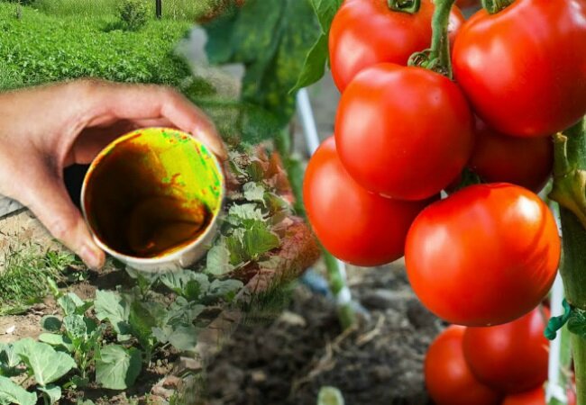 Источник https://steaklovers.menu/food/39715