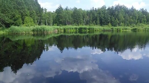 Озеро цгб. Озеро Ендовище Темников. Орловское Полесье. Заповедник Орловское Полесье.