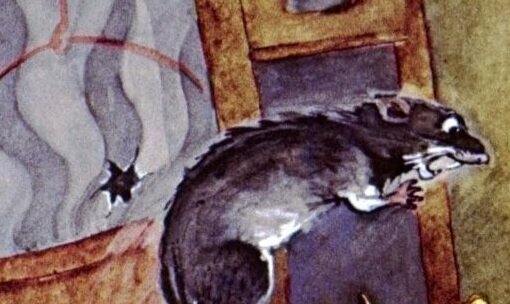 Шушара "рвёт когти" (яндекс-картинки) Атас! Менты! Смывай наколки!!!