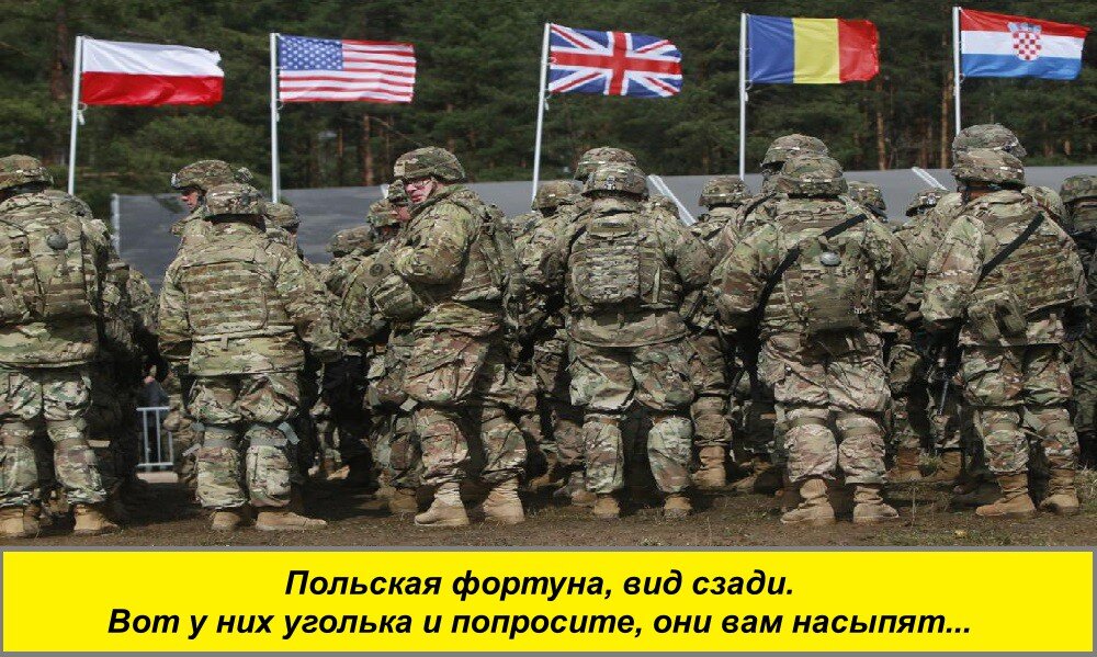 Изображение из открытых источников