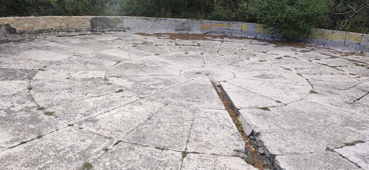 Чаша Зибольда в Феодосии 