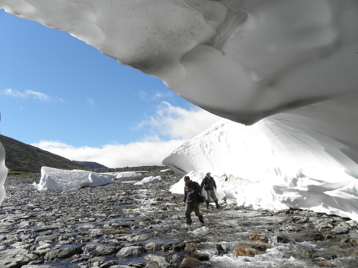 Добавьте описание