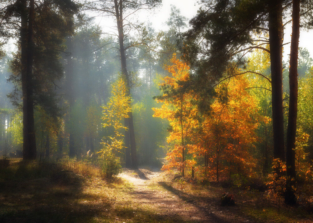 фото из интернета