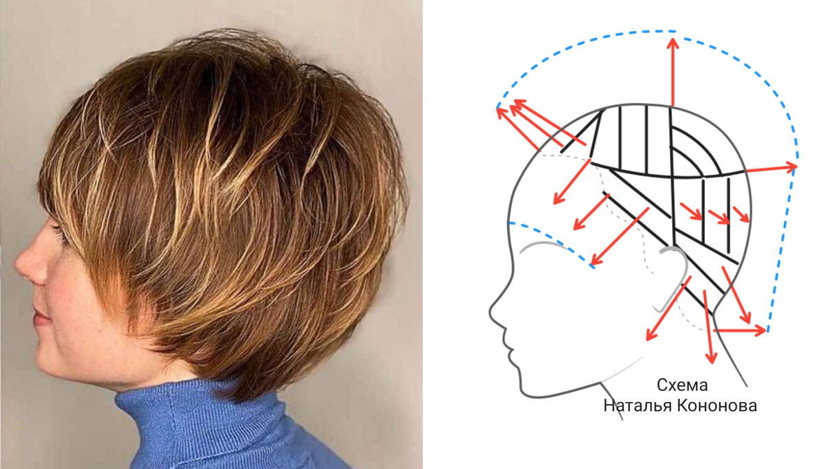 Наталья кононова схемы стрижек
