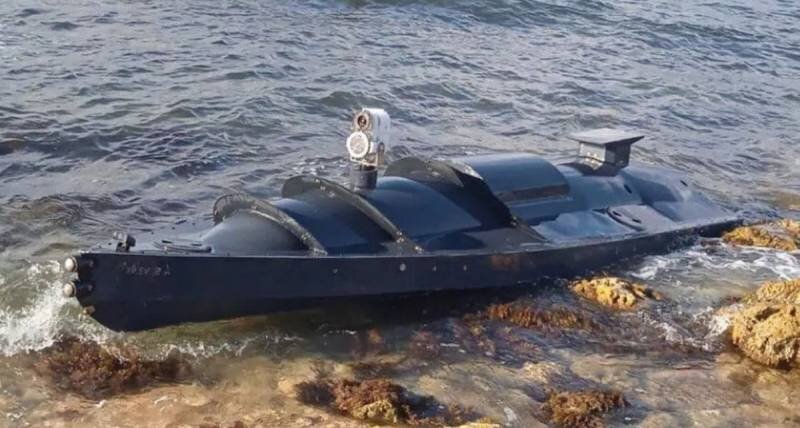 Севастопольский найдёныш (фото из открытых источников)