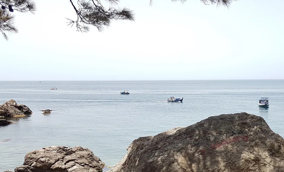 Лодочек прям очень много было. 