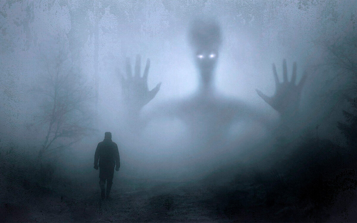 Фото из открытых источников