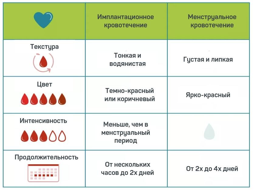 Что такое имплантационное кровотечение?