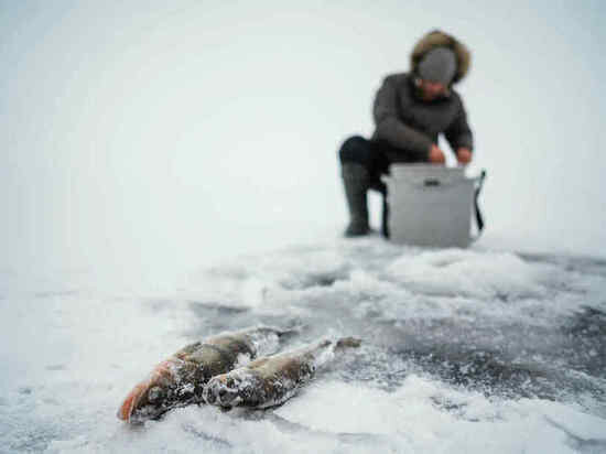     Фото: ru.freepik.com