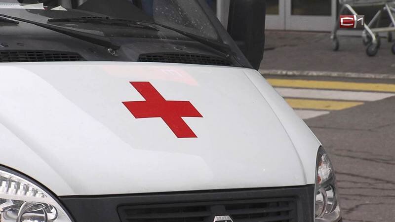    В Югре бездомные собаки напали на женщину и 8-летнего ребенка