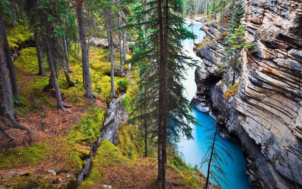 Фото взято из открытых источников интеренета