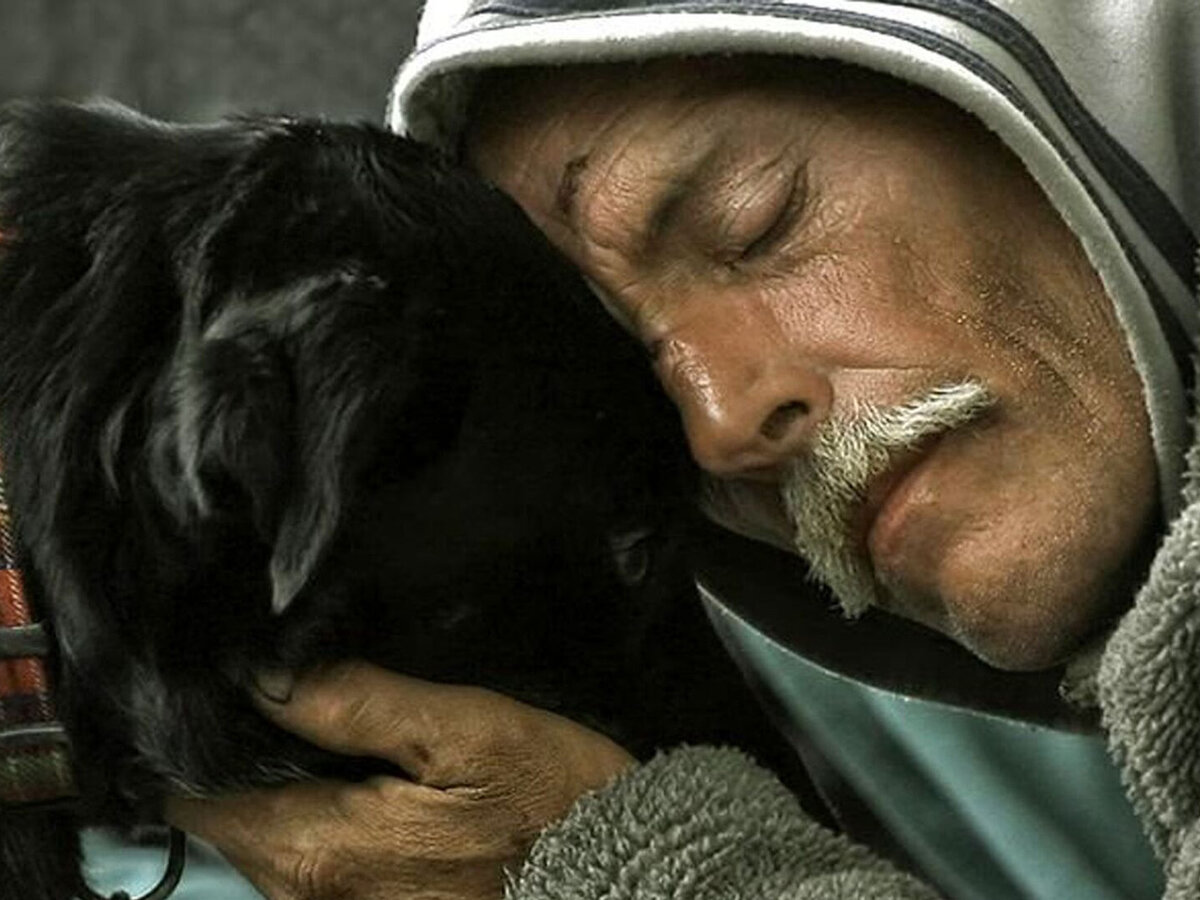 Старик и собака. Одинокий мужчина с собакой. Пожилой мужчина обнимает собаку. Старик и сотака. Тем временем пожилой хозяин