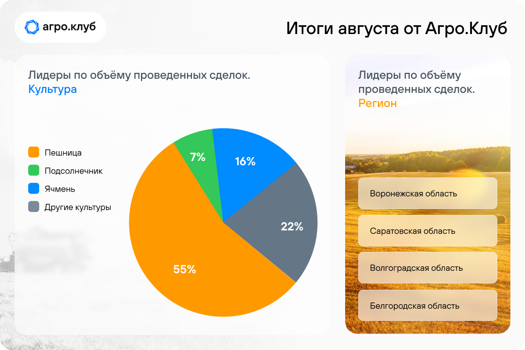 31 августа итоги. Числовой тест. SHL тесты. Talent q числовой тест примеры. Числовые тесты Talent q примеры с ответами.