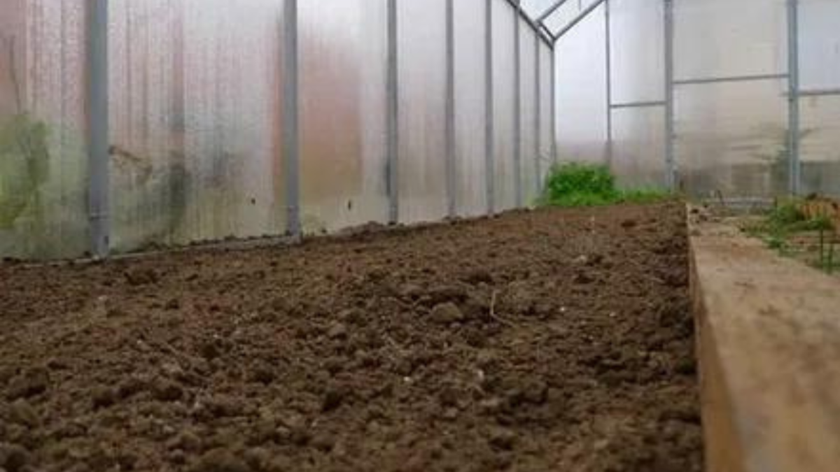Обработка почвы в теплице перед посадкой. Подготовка почвы в теплице для посадки томатов весной. Как сделать почву плодородной и рыхлой в теплице. Купить грунт для теплицы Уфа чернозем.