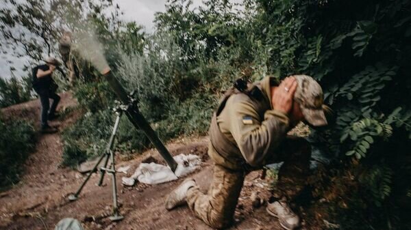    © Telegram Владимир Зеленский