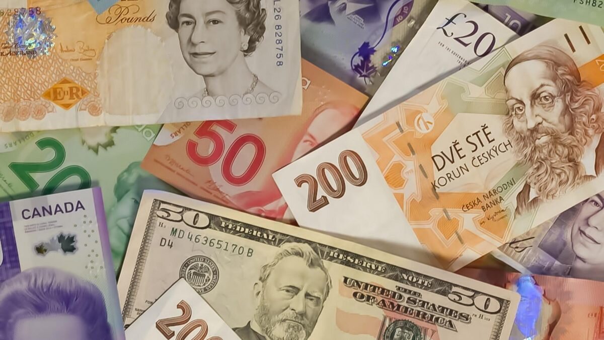    Фото: Unsplash Август Макаров