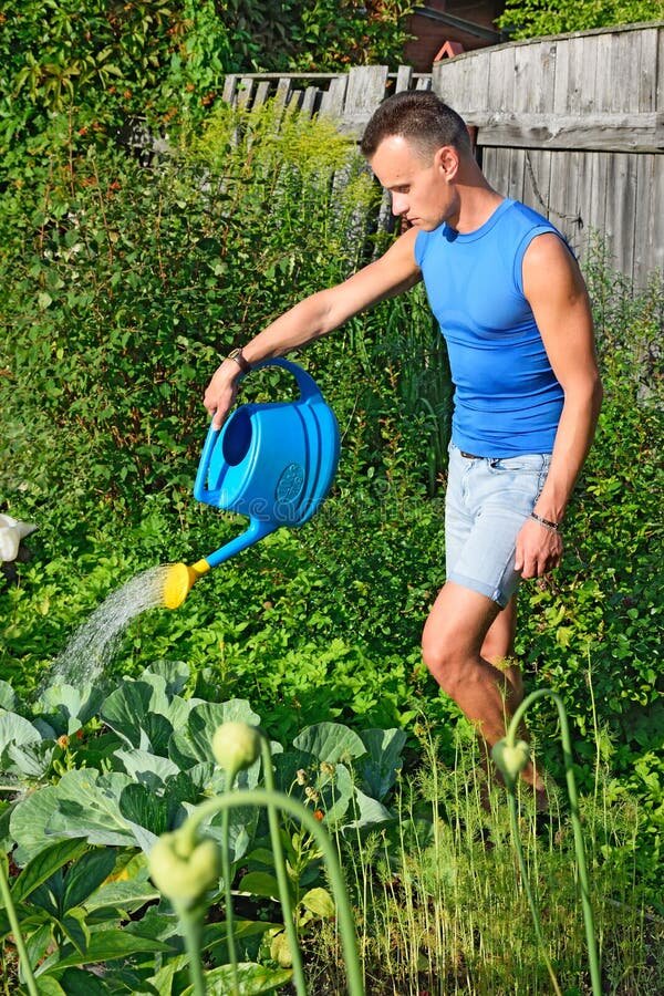 Яндекс картинки