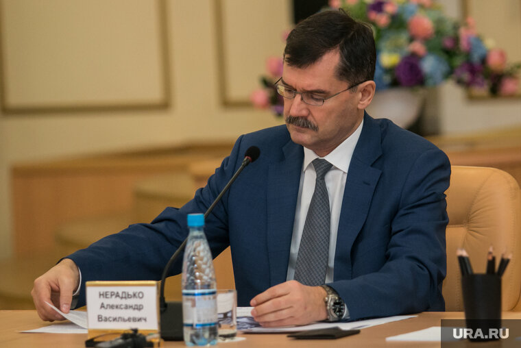    Александр Нерадько ранее занимал пост главы Росавиации