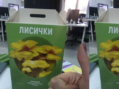 Яндекс.ДиректСвежие грибы круглый год!Узнать большеvkusno.official-webstore.ruДомашняя грибница по акцииУзнать большеru.linesite.siteГрибная ферма всего за 149 руб!Узнать большеmushrooms6.site  