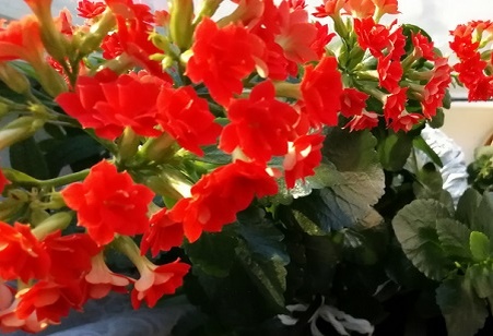 Раньше я не очень любила свой день рождения, но с возрастом приходит понимание,  отношение и настроение меняется! 