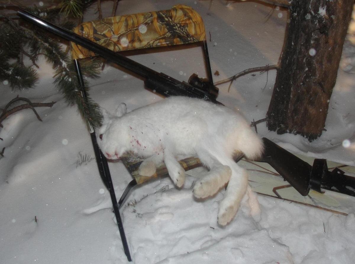 АВТОР СТАТЬИ: АНТОН КОЖЕВНИКОВ