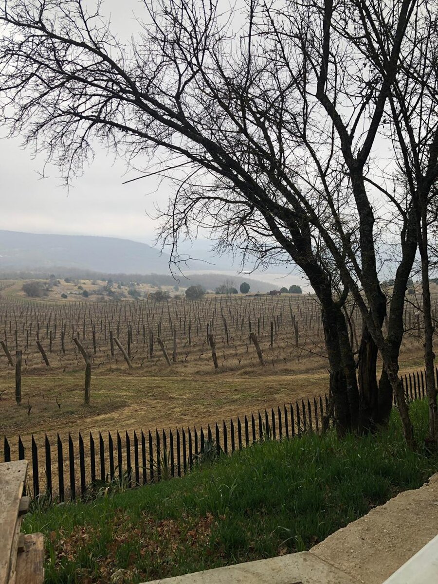 UPPA Winery 22 февраля 2019г (Cler Numullite)