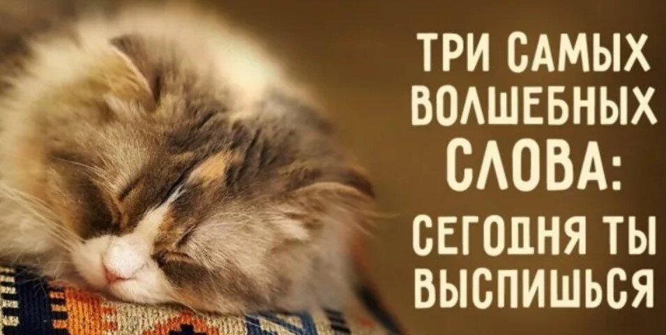 Хорошенько выспаться картинки