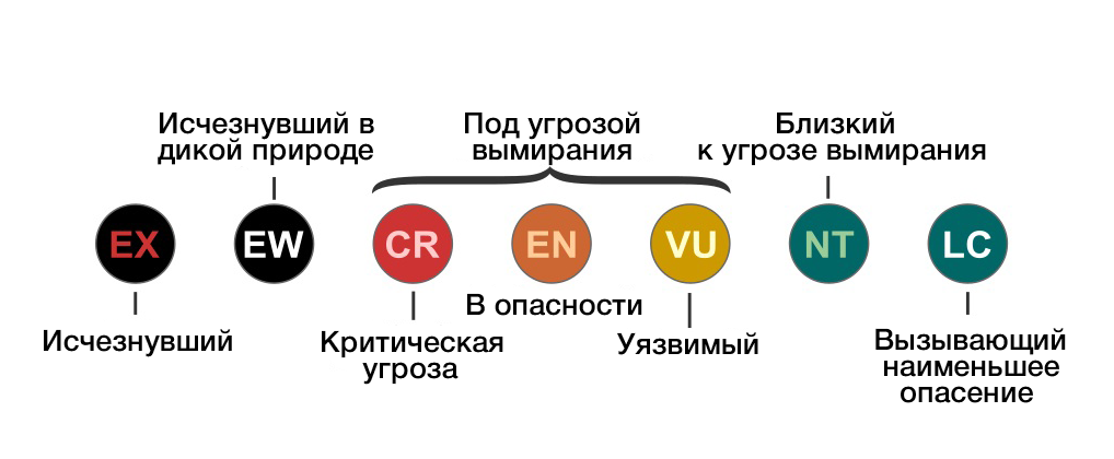 Категория статуса редкости. Охранный статус МСОП. Красный список угрожаемых видов МСОП. Охранные статусы красной книги. Категории и критерии красной книги МСОП.