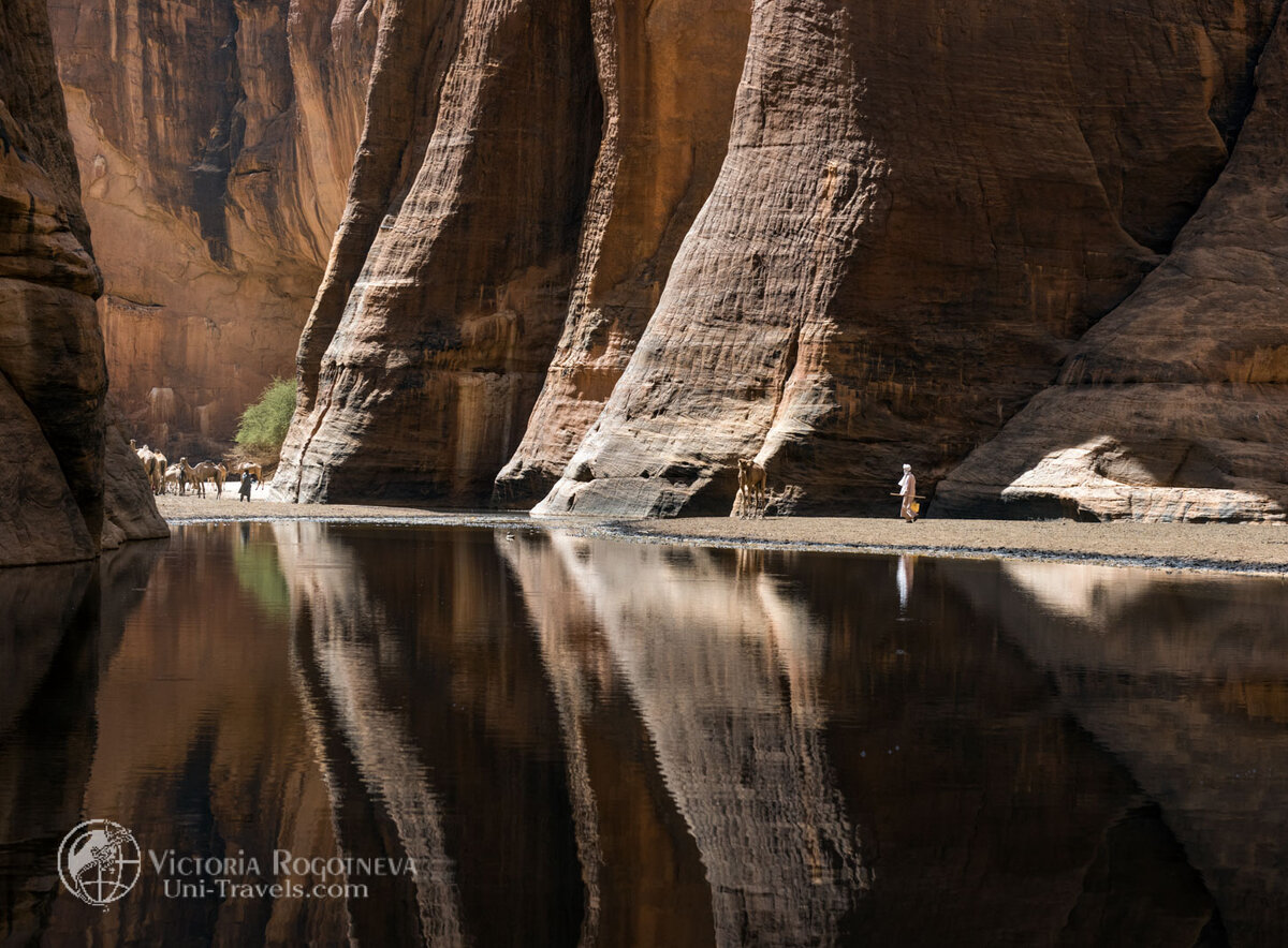 Гельта Арчей в Сахаре Чада. Сюда приводят верблюдов на водопой