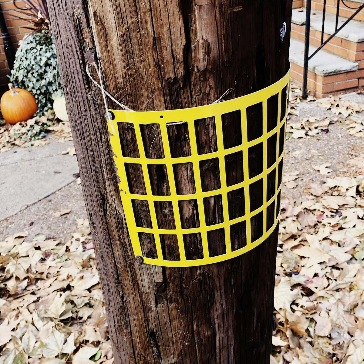 Отражатели для мотоциклистов, чтобы они не врезались в столб линии электропередач. По некоторым данным, таких решеток уже более 400 000.