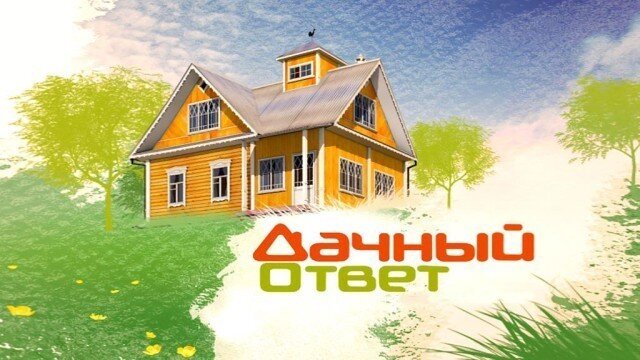 Дачный ответ на НТВ