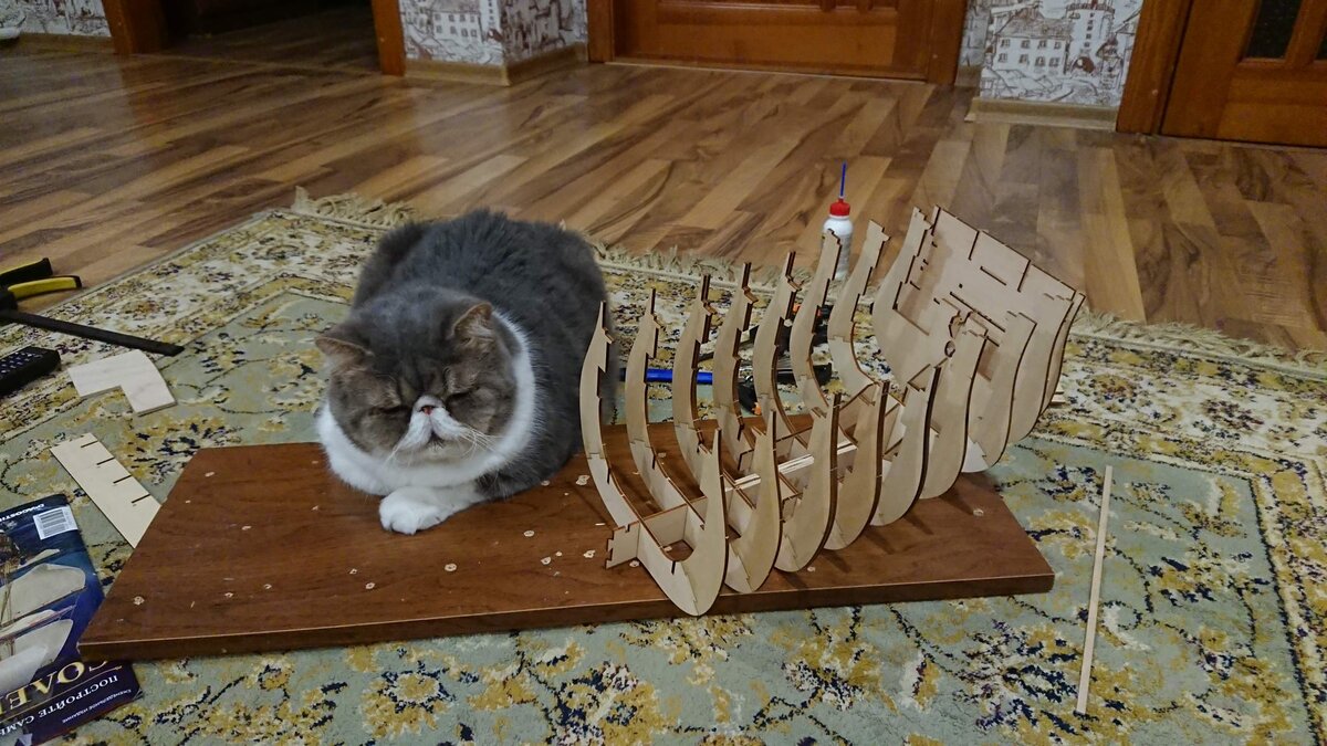 Кот и корабль. Две модели в одном кадре.